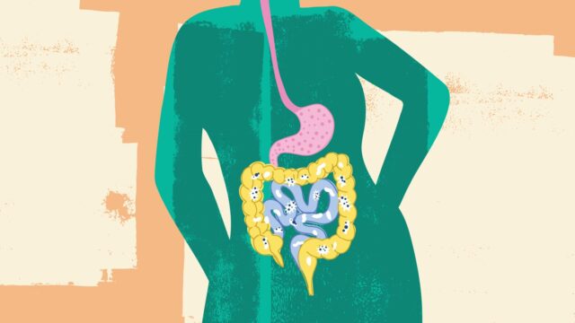 8 things to know about the gut microbiome and keeping 8 things to know about the gut microbiome and keeping yours healthy | itg-ar.com