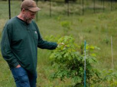The Forest Service says it’s closing offices to cut costs. But the math doesn’t add up | itg-ar.com The Forest Service says it's closing offices to cut costs. But the math doesn't add up | itg-ar.com