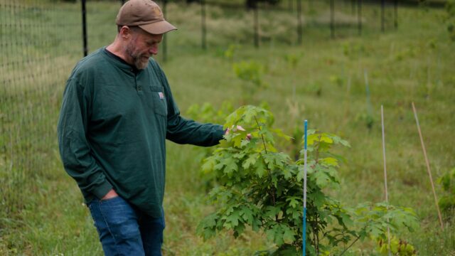 The Forest Service says it's closing offices to cut costs. The Forest Service says it's closing offices to cut costs. But the math doesn't add up | itg-ar.com