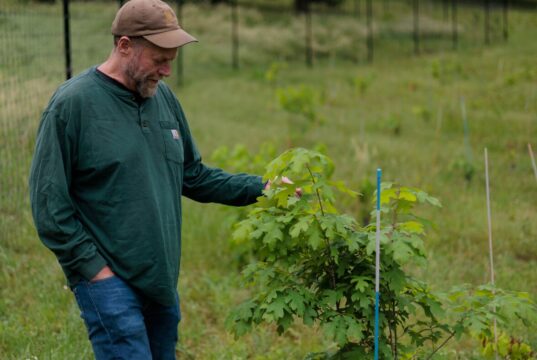 The Forest Service wants to close research hubs to save money. That could be costly | itg-ar.com The Forest Service wants to close research hubs to save money. That could be costly | itg-ar.com