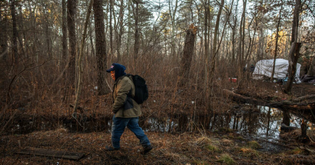 Where Billionaires Summer, a Gardener Died in the Snow | Where Billionaires Summer, a Gardener Died in the Snow | itg-ar.com