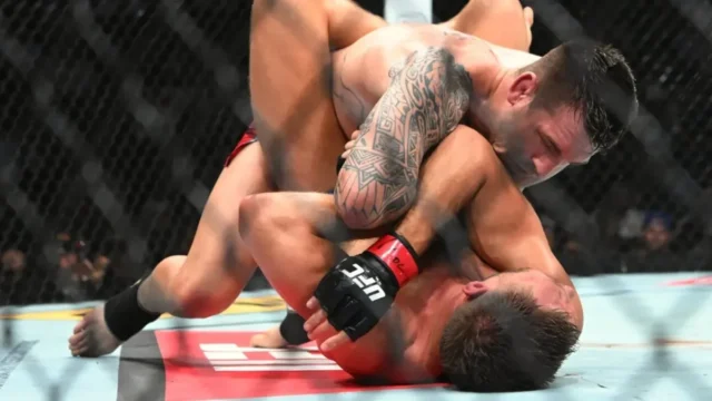اختيارات المراهنة على UFC Vegas 118: ثلاث معارك لاستهدافها ليلة اختيارات المراهنة على UFC Vegas 118: ثلاث معارك لاستهدافها ليلة السبت
| itg-ar.com