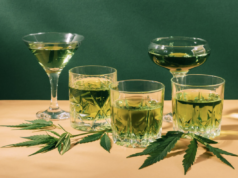 البديل الواضح للكحول: لماذا يلجأ المزيد من البالغين إلى مشروبات رباعي هيدروكانابينول (THC).
| itg-ar.com البديل الواضح للكحول: لماذا يلجأ المزيد من البالغين إلى مشروبات رباعي هيدروكانابينول (THC).
| itg-ar.com