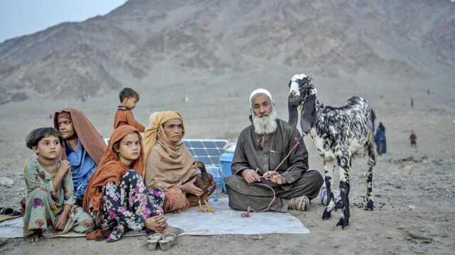 باكستان تصدر توجيهات لاعتقال المواطنين الأفغان غير الشرعيين اعتبارًا من 10 يوليو
| itg-ar.com