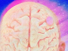 بدأت تجارب واجهة الدماغ والحاسوب في الانطلاق
| itg-ar.com بدأت تجارب واجهة الدماغ والحاسوب في الانطلاق
| itg-ar.com