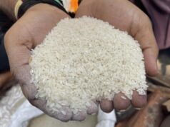 تعديلات NFSA: 7 كجم من الحبوب الغذائية للشخص الواحد، وبحد أقصى 35 كجم للأسرة
| itg-ar.com تعديلات NFSA: 7 كجم من الحبوب الغذائية للشخص الواحد، وبحد أقصى 35 كجم للأسرة
| itg-ar.com