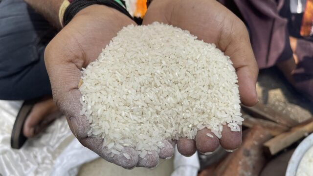 تعديلات NFSA: 7 كجم من الحبوب الغذائية للشخص الواحد، وبحد أقصى 35 كجم للأسرة
| itg-ar.com