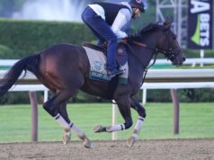 حصل Golden Tempo على المركز 158 في Belmont Stakes، ليفوز بالجولة الأولى والثالثة من Triple Crown
| itg-ar.com حصل Golden Tempo على المركز 158 في Belmont Stakes، ليفوز بالجولة الأولى والثالثة من Triple Crown
| itg-ar.com