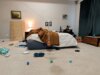 فيديو: روبوت DIY مثبت على السقف يلتقط الألعاب والملابس والفوضى المنزلية
| itg-ar.com فيديو: روبوت DIY مثبت على السقف يلتقط الألعاب والملابس والفوضى المنزلية
| itg-ar.com