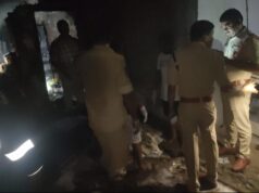 قُتلت جدة وحفيدان في حريق منزل في منتصف الليل بعد انفجار تسرب للغاز في ميريالاغودا
| itg-ar.com قُتلت جدة وحفيدان في حريق منزل في منتصف الليل بعد انفجار تسرب للغاز في ميريالاغودا
| itg-ar.com