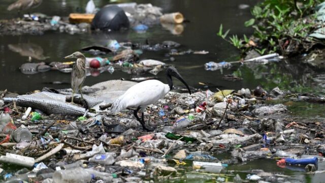 لم تقدم شركة كويمباتور بعد تفاصيل الترميم والصيانة الخاصة بالبحيرة التي طلبتها شركة NGT
| itg-ar.com