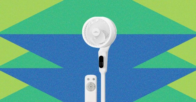 مراجعة Coway Airmega Pedestal Fan P50: مضاد للتطبيقات | itg-ar.com مراجعة Coway Airmega Pedestal Fan P50: مضاد للتطبيقات
| itg-ar.com