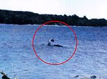 يتعمق لغز Nessie الأمريكي عندما يظهر مخلوق غريب خلف القارب في مقطع فيديو مرعب
| itg-ar.com يتعمق لغز Nessie الأمريكي عندما يظهر مخلوق غريب خلف القارب في مقطع فيديو مرعب
| itg-ar.com