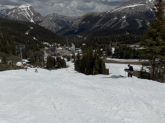 يجذب التزلج الصيفي في Sunshine Village المتزلجين من ألبرتا وخارجها
| itg-ar.com يجذب التزلج الصيفي في Sunshine Village المتزلجين من ألبرتا وخارجها
| itg-ar.com