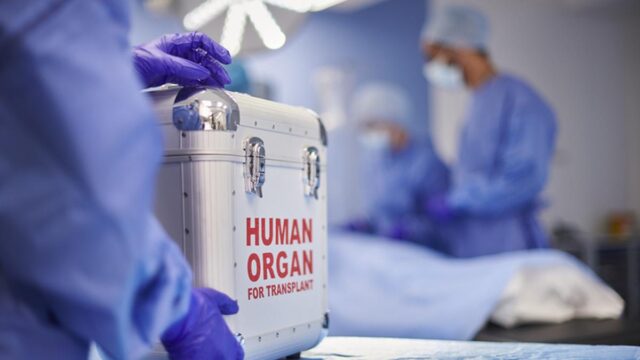 يطلب المركز من المستشفيات الكشف عن بيانات البقاء على قيد الحياة بعد زرع الأعضاء
| itg-ar.com