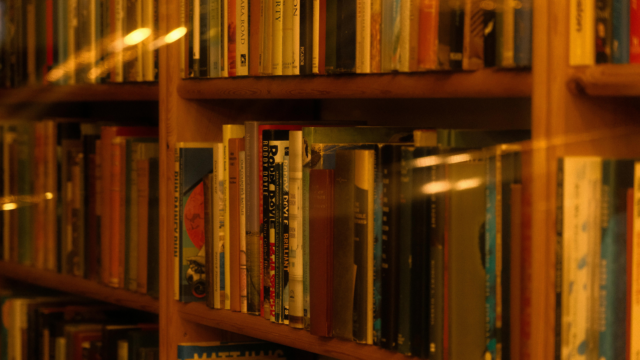 5 كتب تعلمك كيف تصبح مرنًا عقليًا | itg-ar.com 5 كتب تعلمك كيف تصبح مرنًا عقليًا
| itg-ar.com