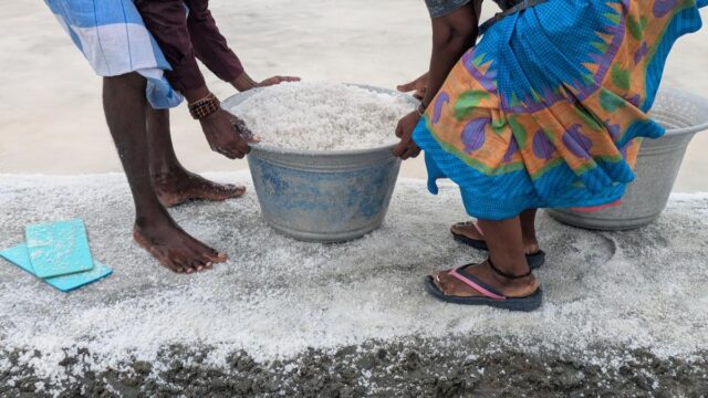 Living by the sun, losing to the rain: life in Living by the sun, losing to the rain: life in Marakkanam’s salt pans in T.N. | itg-ar.com