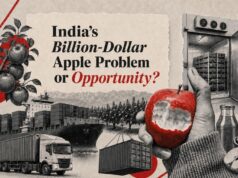Why India imports apples despite record production, and how to fix it | itg-ar.com Why India imports apples despite record production, and how to fix it | itg-ar.com