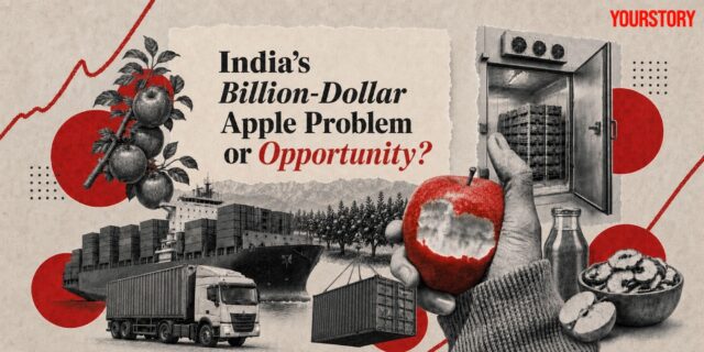 Why India imports apples despite record production, and how to fix it | itg-ar.com