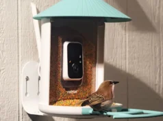 إن وحدة التغذية الذكية التي تعمل بالطاقة الشمسية من Birdfy تنخفض إلى أحد أفضل الأسعار
| itg-ar.com إن وحدة التغذية الذكية التي تعمل بالطاقة الشمسية من Birdfy تنخفض إلى أحد أفضل الأسعار
| itg-ar.com