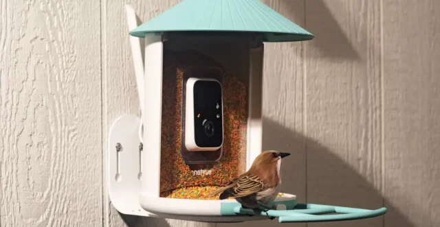 إن وحدة التغذية الذكية التي تعمل بالطاقة الشمسية من Birdfy إن وحدة التغذية الذكية التي تعمل بالطاقة الشمسية من Birdfy تنخفض إلى أحد أفضل الأسعار
| itg-ar.com