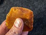 اكتشاف ما قبل التاريخ في جبال أوريغون الأقدم من الهرم الأكبر في مصر يمكن أن يعيد كتابة تاريخ البشرية
| itg-ar.com اكتشاف ما قبل التاريخ في جبال أوريغون الأقدم من الهرم الأكبر في مصر يمكن أن يعيد كتابة تاريخ البشرية
| itg-ar.com