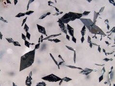 الجيل التالي من بلورات “الساندويتش” الصلبة المصممة لتحويل الحرارة المهدرة إلى كهرباء
| itg-ar.com الجيل التالي من بلورات "الساندويتش" الصلبة المصممة لتحويل الحرارة المهدرة إلى كهرباء
| itg-ar.com