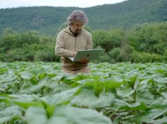 الزراعة جاهزة للذكاء الاصطناعي، لكن بياناتها ليست كذلك
| itg-ar.com الزراعة جاهزة للذكاء الاصطناعي، لكن بياناتها ليست كذلك
| itg-ar.com