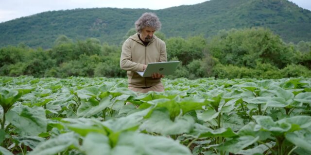 الزراعة جاهزة للذكاء الاصطناعي، لكن بياناتها ليست كذلك | itg-ar.com الزراعة جاهزة للذكاء الاصطناعي، لكن بياناتها ليست كذلك
| itg-ar.com