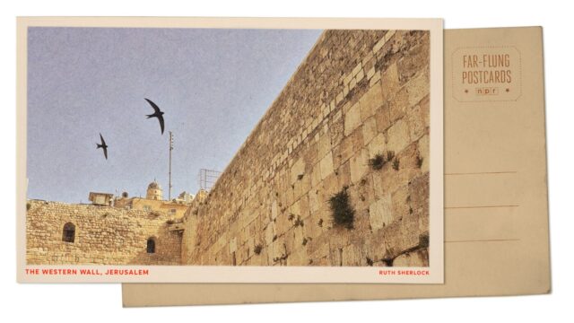 تحية من القدس، التي تستضيف أماكنها المقدسة بعضًا من أقدم مستعمرات تعشيش طيور الطيران
| itg-ar.com