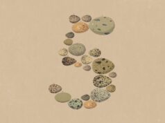تدور أحداث Anthropic’s Opus 5 حول الكفاءة الرمزية، وليس قفزة في القدرات
| itg-ar.com تدور أحداث Anthropic's Opus 5 حول الكفاءة الرمزية، وليس قفزة في القدرات
| itg-ar.com