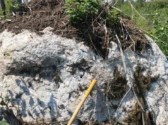تشير Geochem إلى الموارد الحرجة نحو جائزة الليثيوم الكندية القادمة
| itg-ar.com تشير Geochem إلى الموارد الحرجة نحو جائزة الليثيوم الكندية القادمة
| itg-ar.com