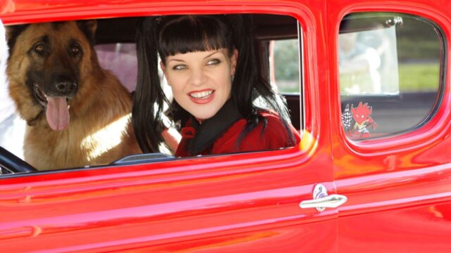 عرف NCIS أنه كان "يخسر Pauley Perrette" قبل حدوثه. كيف عرف NCIS أنه كان "يخسر Pauley Perrette" قبل حدوثه. كيف محوروا
| itg-ar.com