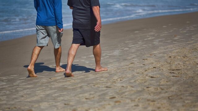 علاقات أوثق وسفر أسهل: تتطلع إسرائيل إلى مستويات السياحة من علاقات أوثق وسفر أسهل: تتطلع إسرائيل إلى مستويات السياحة من الهند قبل الحرب بحلول عام 2027
| itg-ar.com