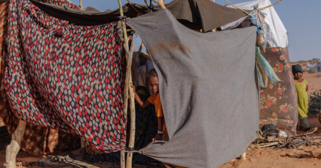 في السودان، فظاعة يمكن منعها | itg-ar.com في السودان، فظاعة يمكن منعها
| itg-ar.com