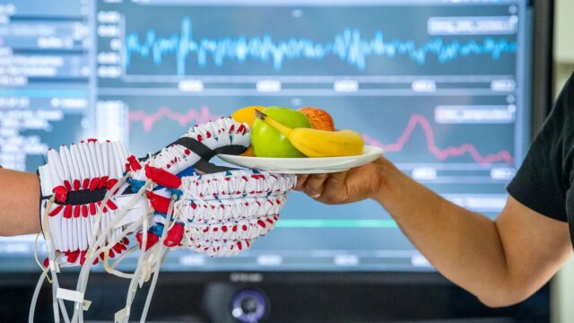 قفاز الهيكل الخارجي الذكي يعيد قبضة الأيدي المشلولة
| itg-ar.com