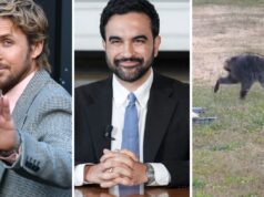 ما هو الحيوان الذي يمثله جيموثي المشوه ولكن المحبوب؟ الاختبار يعرف – هل أنت؟
| itg-ar.com ما هو الحيوان الذي يمثله جيموثي المشوه ولكن المحبوب؟ الاختبار يعرف - هل أنت؟
| itg-ar.com
