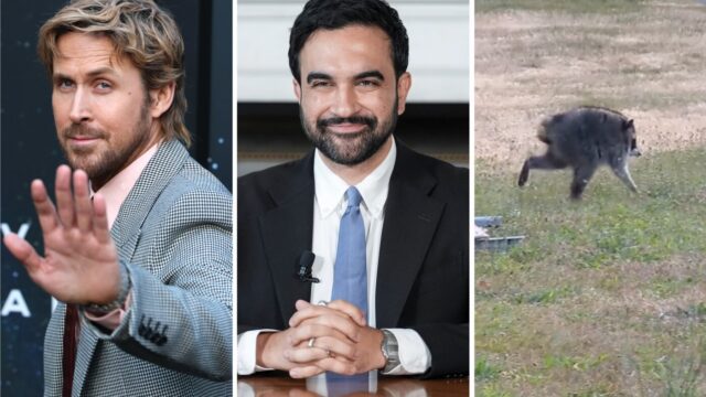ما هو الحيوان الذي يمثله جيموثي المشوه ولكن المحبوب؟ الاختبار يعرف - هل أنت؟
| itg-ar.com