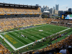 ملعب NFL “غير القابل للعب” يحصل أخيرًا على ترقية من اللاعبين بعد أن تم اختياره “الأسوأ في الدوري”
| itg-ar.com ملعب NFL "غير القابل للعب" يحصل أخيرًا على ترقية من اللاعبين بعد أن تم اختياره "الأسوأ في الدوري"
| itg-ar.com