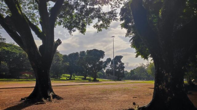 ميدان ثيكينكادو في تريسور على مفترق الطرق: أمر المحكمة العليا ميدان ثيكينكادو في تريسور على مفترق الطرق: أمر المحكمة العليا يوحد أصوات ولاية كيرالا للدفاع عن الأماكن العامة الشهيرة
| itg-ar.com