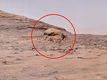يثير الهيكل الغامض في صورة المريخ التي التقطتها ناسا نظريات حول حضارة مفقودة منذ زمن طويل على الكوكب الأحمر
| itg-ar.com يثير الهيكل الغامض في صورة المريخ التي التقطتها ناسا نظريات حول حضارة مفقودة منذ زمن طويل على الكوكب الأحمر
| itg-ar.com