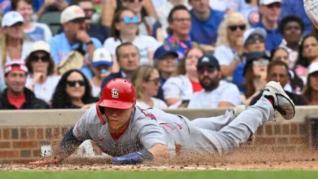 يوافق Cardinals 2B JJ Wetherholt على تمديد بقيمة 112.5 مليون يوافق Cardinals 2B JJ Wetherholt على تمديد بقيمة 112.5 مليون دولار
| itg-ar.com